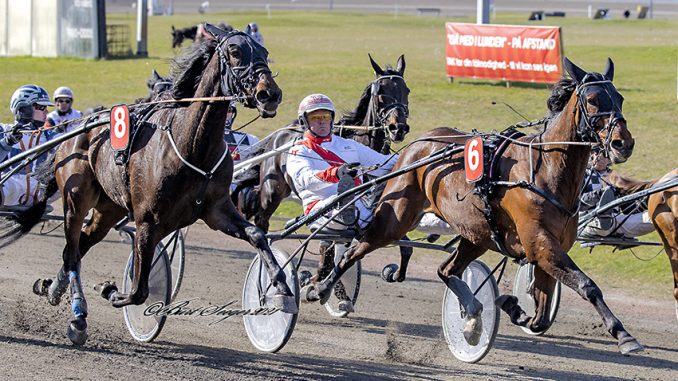 Trav Charlottenlund